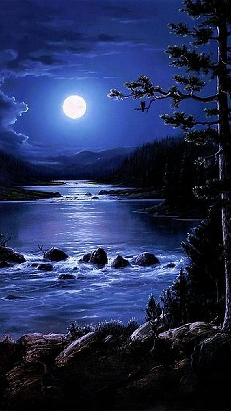 Nature1463, moon, nature, night, trees, water, HD phone wallpaper ...