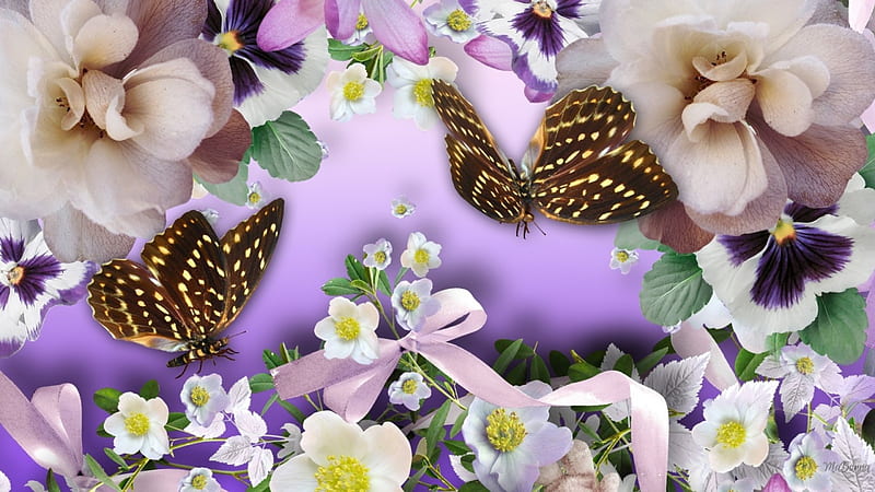 Butterflies for Flowers, ribbon, butterflies, spring, lavender, bow, orchids, summer, pansies, blossoms, flowers, blooms, Firefox Persona theme, HD wallpaper