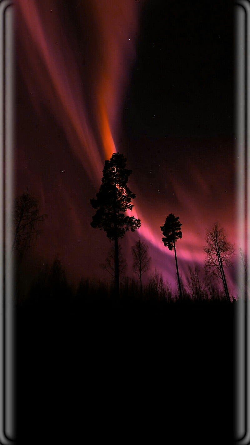 aurora, edges, field, nature, tree, HD phone wallpaper