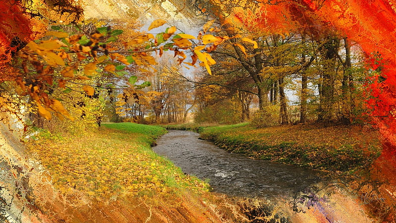 Autumn Creek Collage, autumn, woods, collage, creek, trees, Firefox theme,  stream, HD wallpaper | Peakpx