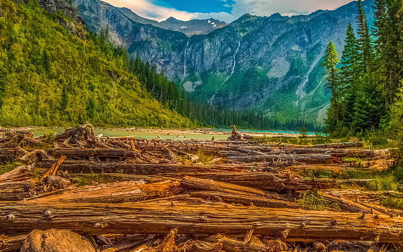 Glacier National Park, R, mountain landscape, evening, mountain lake, forest, fallen trees, Montana, USA, HD wallpaper