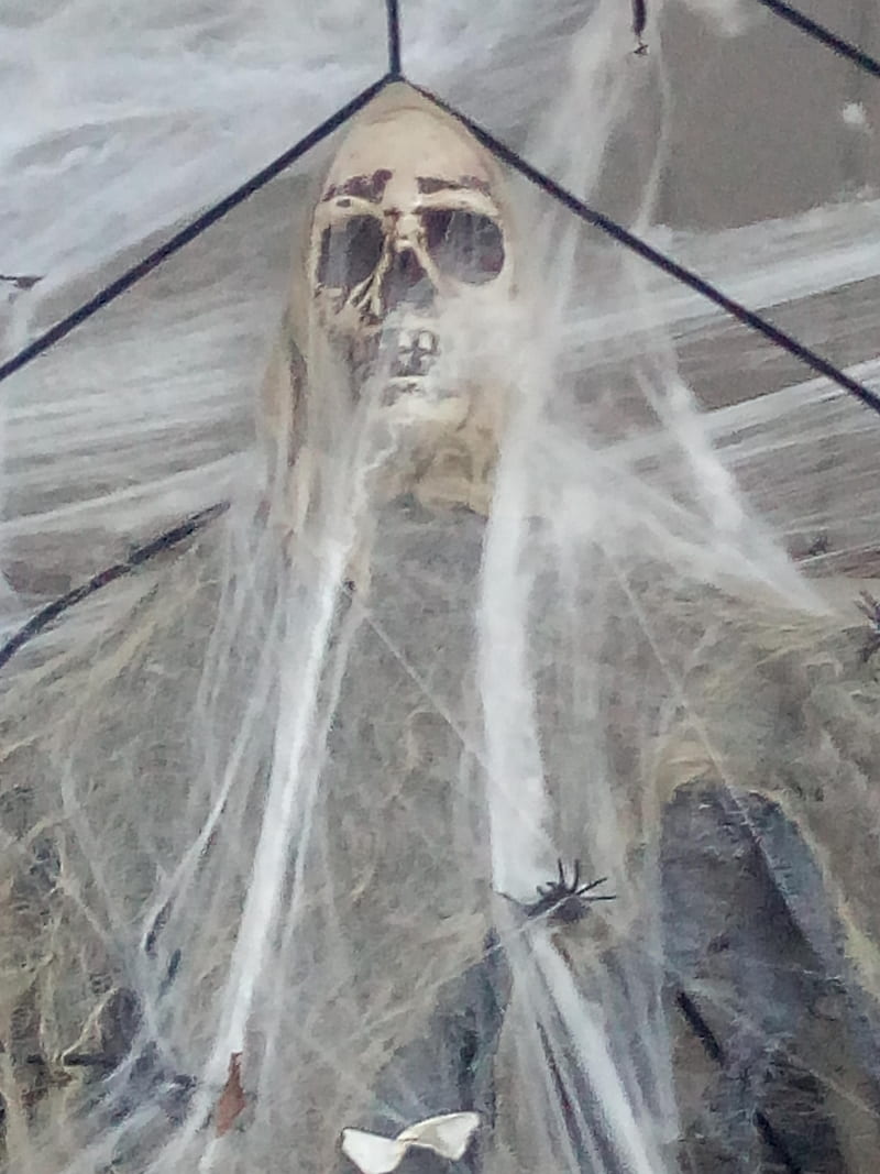 Skeleton, halloween, HD mobile wallpaper | Peakpx