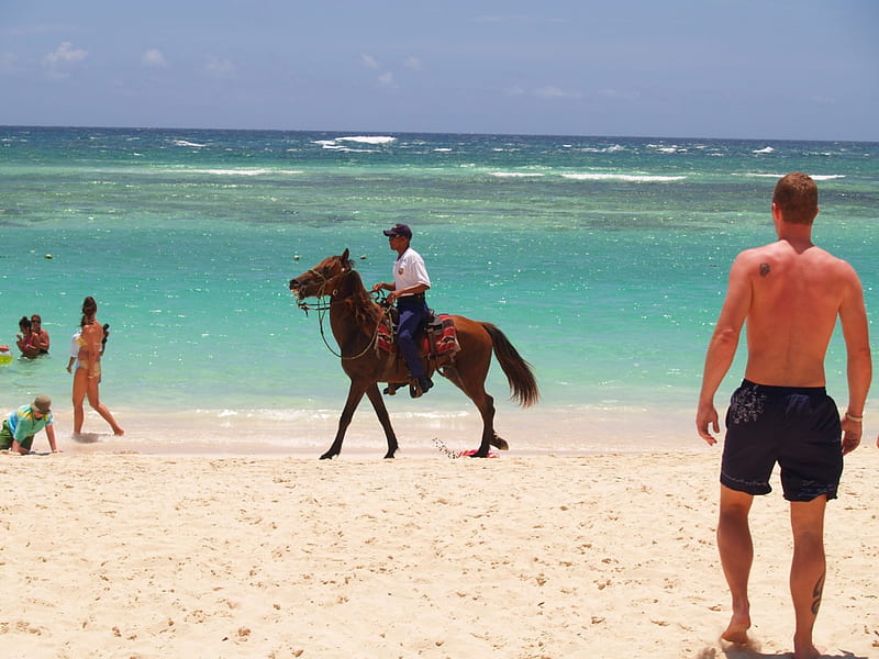 mounted police , dominican republic, cop on horse back, HD wallpaper