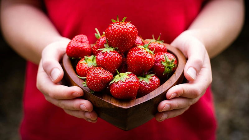 Holding A Strawberry Bowl, HD wallpaper