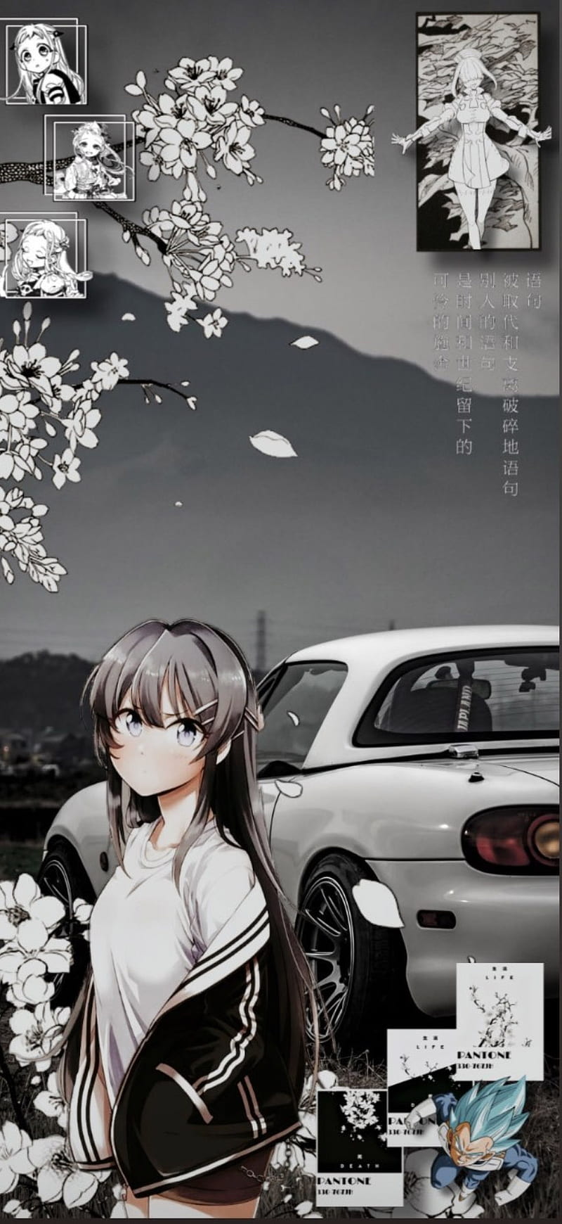 Bunny girl senpai, jdm, waifu, sakurajima mai, HD phone wallpaper