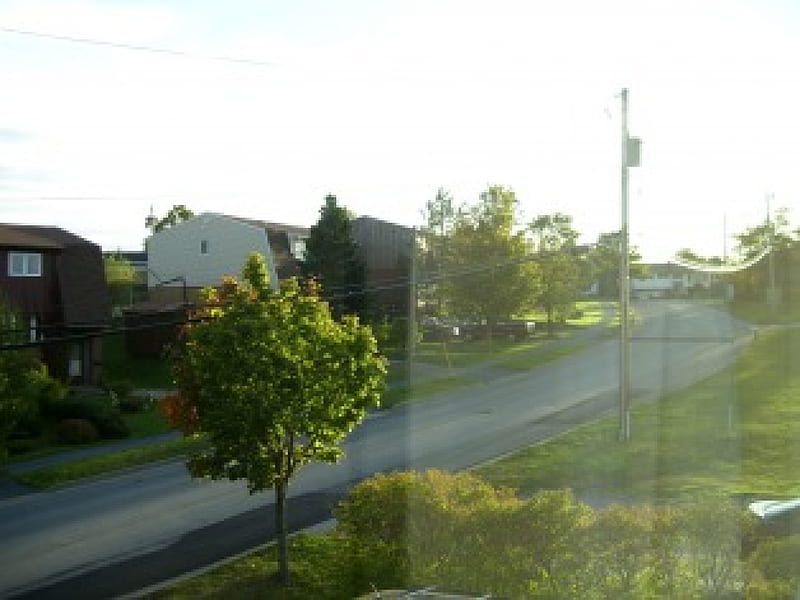 Evening sunset in neighbourhood, leaves, sun, grass, houses, trees, sky, street, neighbourhood, HD wallpaper