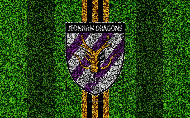 Jeonnam Dragons FC logo, grass texture, South Korean football club, yellow black lines, football lawn, K League 1, Kwangyang, South Korea, football, HD wallpaper