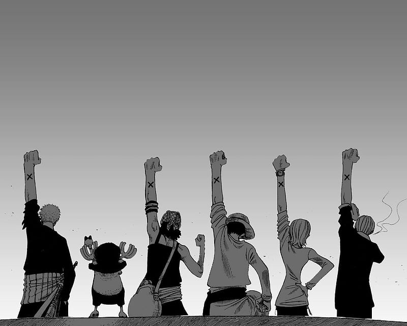 Anime, One Piece, Tony Tony Chopper, Usopp (One Piece), Roronoa Zoro, Monkey D Luffy, Nami (One Piece), Sanji (One Piece), HD wallpaper