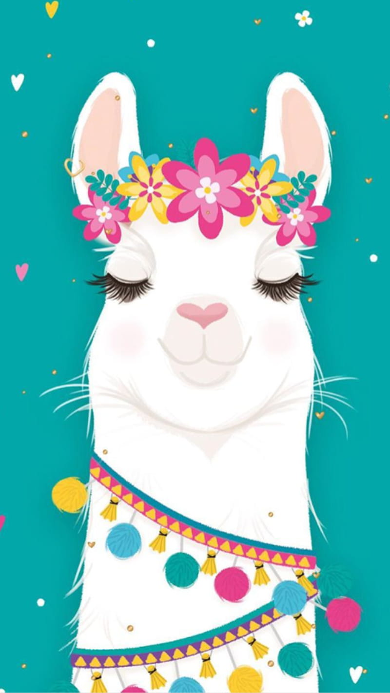Llama, alpaca, alpacas, cute, llamas, HD phone wallpaper