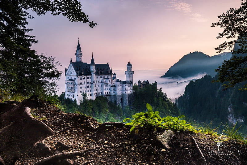 Neuschwanstein Castle in the Morning, houses, mountains, nature, morning, castle, sky, trees, HD wallpaper