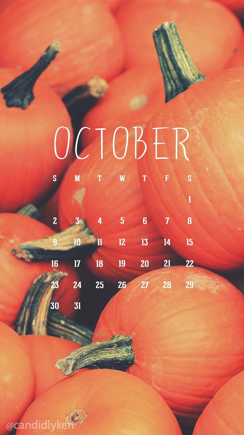 Cute pumpkin patch October calendar 2016 you can for on the blog! For any d.. Fall , Birtay , iPhone, HD phone wallpaper