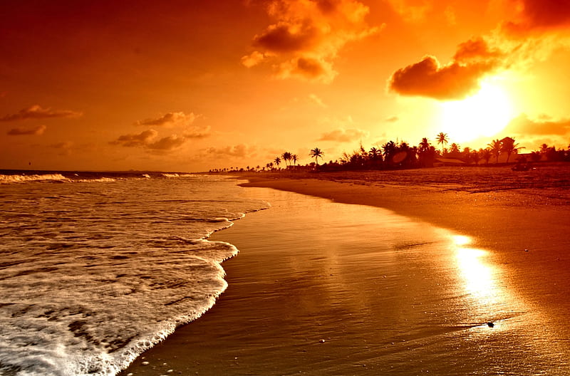 Amanecer en la playa, playa, amanecer, naturaleza, sol, Fondo de pantalla  HD | Peakpx