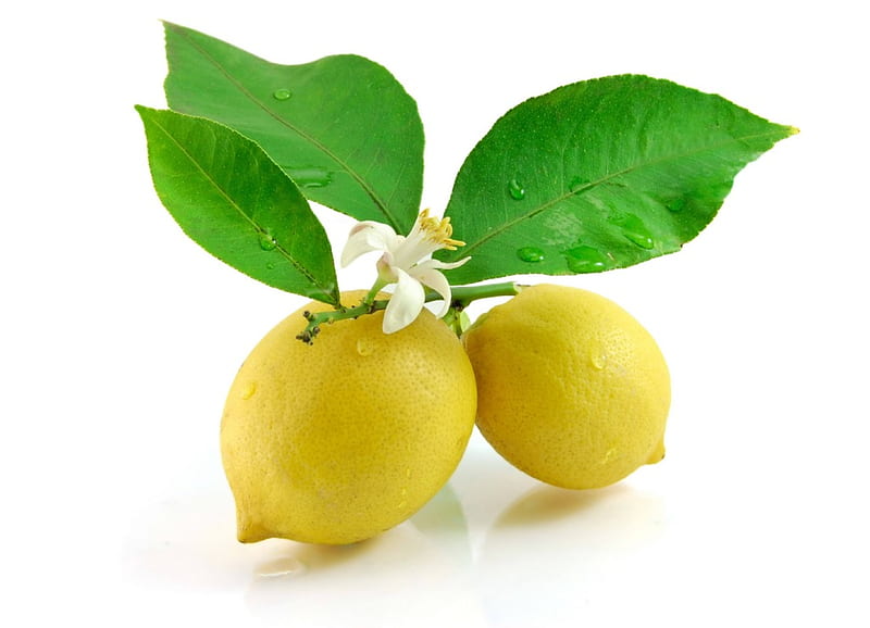 Lemons, fruit, green, yellow, white, lemon, HD wallpaper