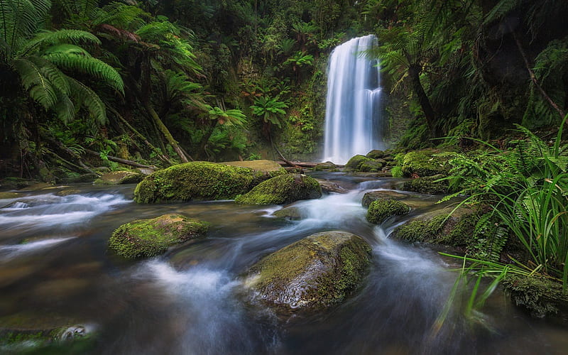 waterfall, lake, rock, stones, Beauchamp Falls, Great Otway National Park, Victoria, Australia, HD wallpaper