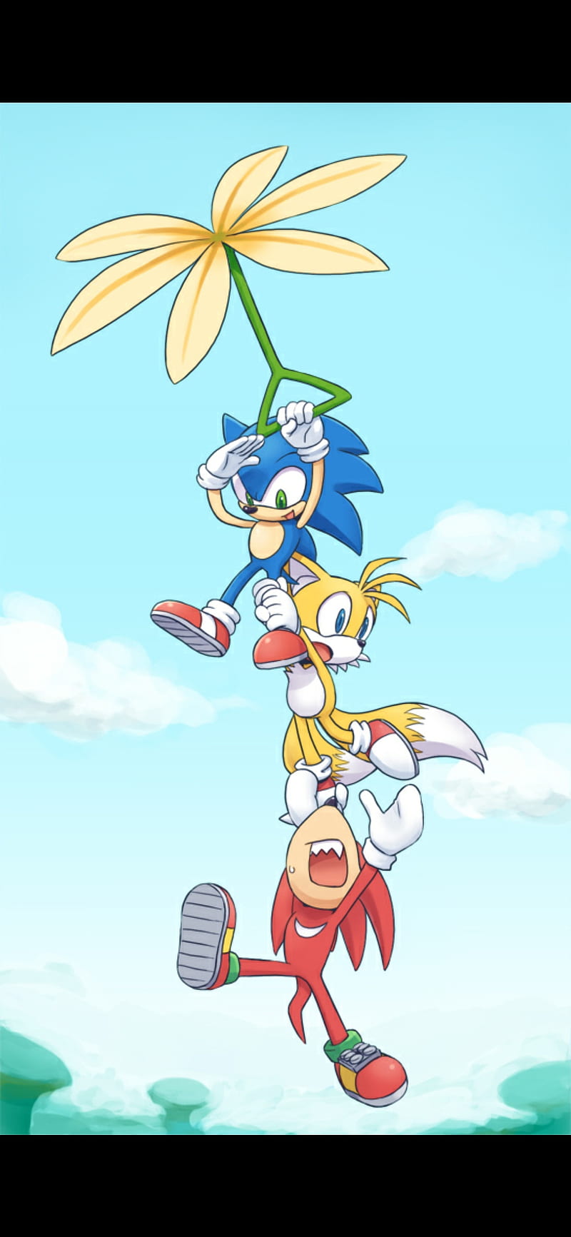 Sonic Heroes, knuckles, tails, HD phone wallpaper