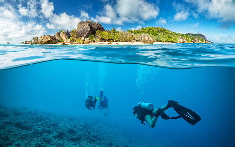 Diving in Seychelles, Sea, Islands, Oceans, Paradise, Diving, Underwater,  Nature, HD wallpaper | Peakpx