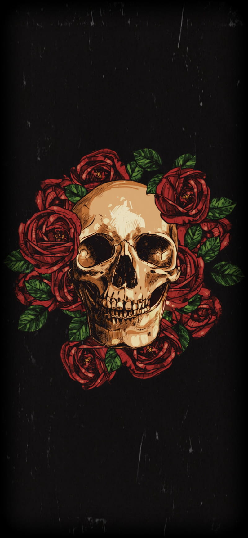 Skull Roses, black, calaveras, red, rose, skulls, tumblr, vhs, HD phone wallpaper