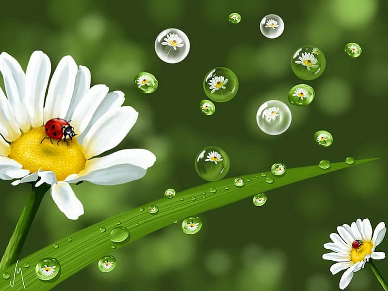 Drops of spring, pretty, art, greenery, bonito, drops, spring, freshness, ladybird, daisies, leaves, painting, flowers, petals, HD wallpaper