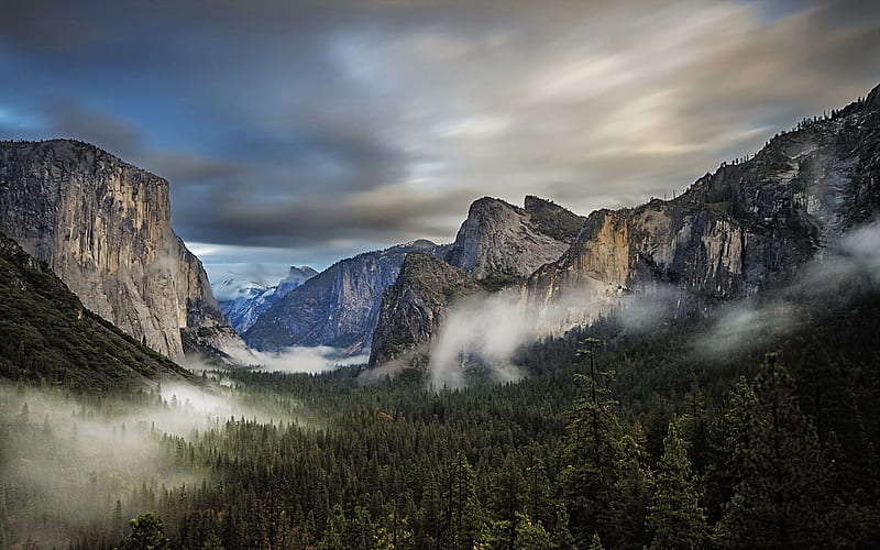 Yosemite Valley, summer, mountain landscape, forest, valley, Yosemite National Park, american landmarks, Sierra Nevada, USA, America, mountains, beautiful nature, HD wallpaper