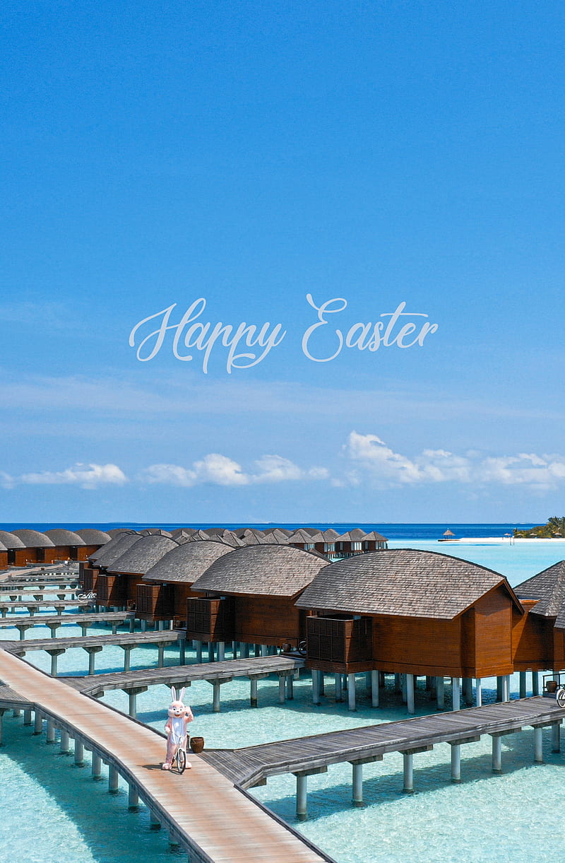 Happy Easter , bicycle, celebration, drone bunny bts, holiday, marvin, sayings holidays, popular trending ultra high definition sunny summer travel happy maldives overwater bungalow resort luxury tropical island beach ocean, HD phone wallpaper