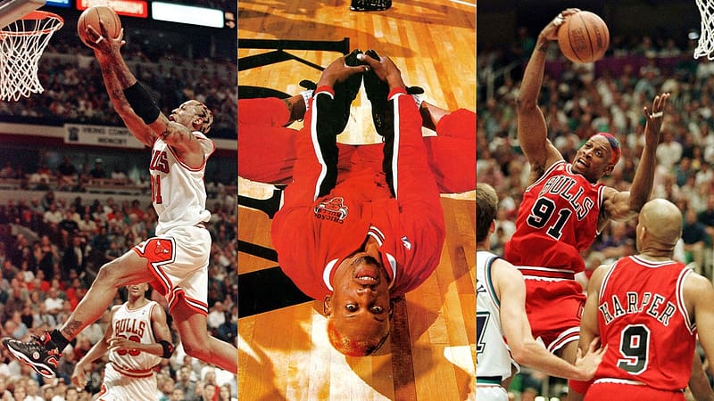 Sports, Basketball, Chicago Bulls, Dennis Rodman, HD wallpaper