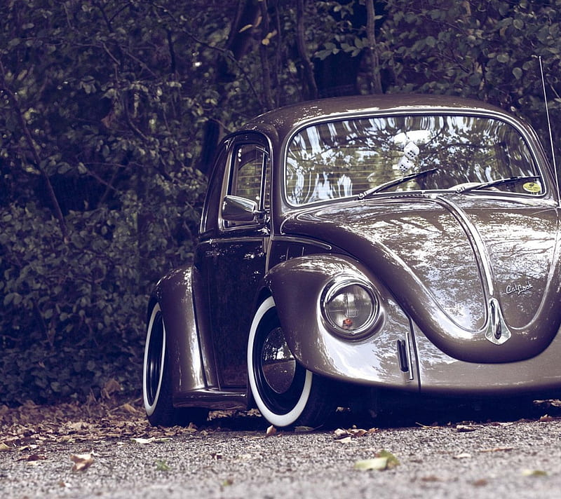 Beetle, bus, car, old, HD wallpaper