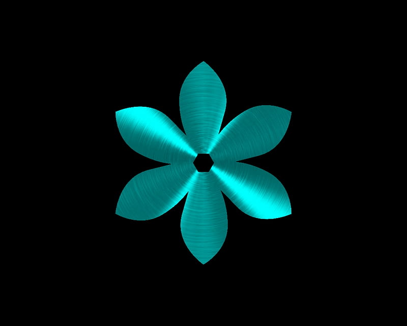 flower teal, gizzzi, labrano, flower, black, teal, HD wallpaper