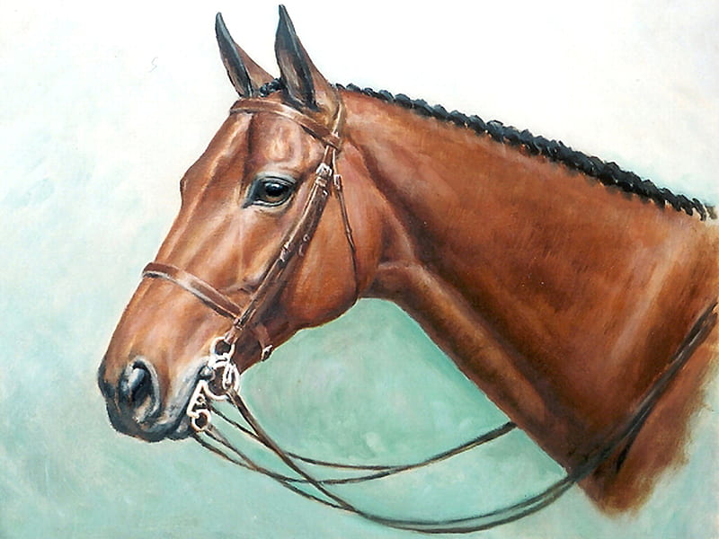 Hunter Horse 1, art, head, donald schwartz, equine, horse, artwork, schwartz, painting, thorobred, hunter, HD wallpaper