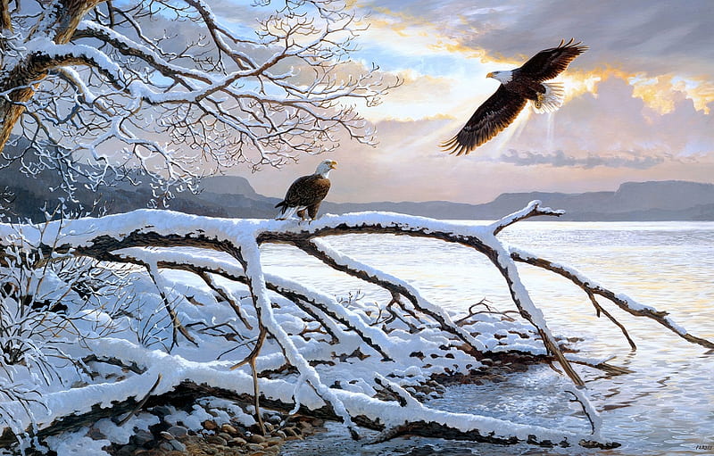 Eagles by Persis Clayton Weirs, persis clayton weirs, bird, painting, pasari, eagle, winter, iarna, art, vultur, pictura, HD wallpaper