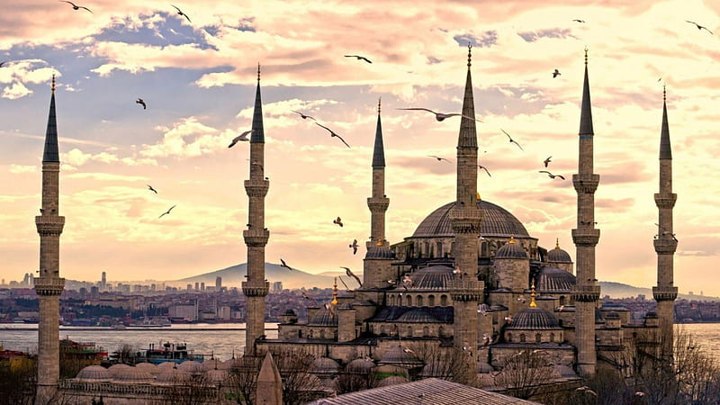 sultan ahmed mosque in istanbul turkey, city, minarets, mosque, birds, clouds, harbor, HD wallpaper