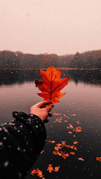 Hello Autumn! Aesthetic fall social media posts & / lock screens ...