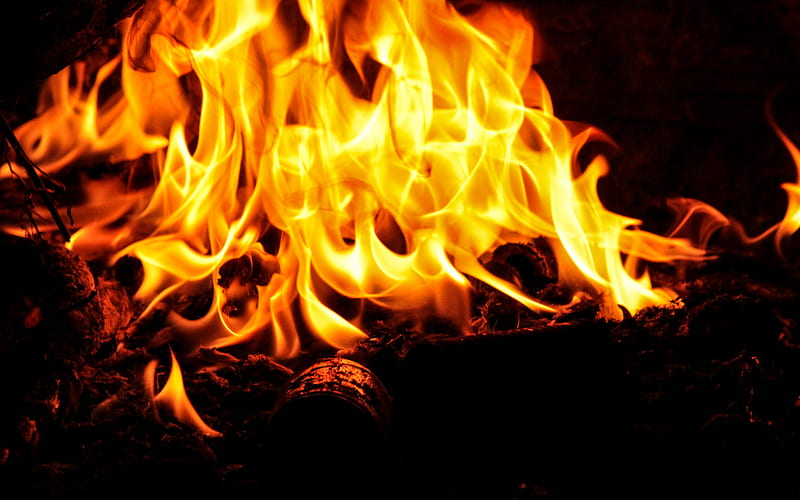 flame, fire, hot coals, camp, lights, HD wallpaper