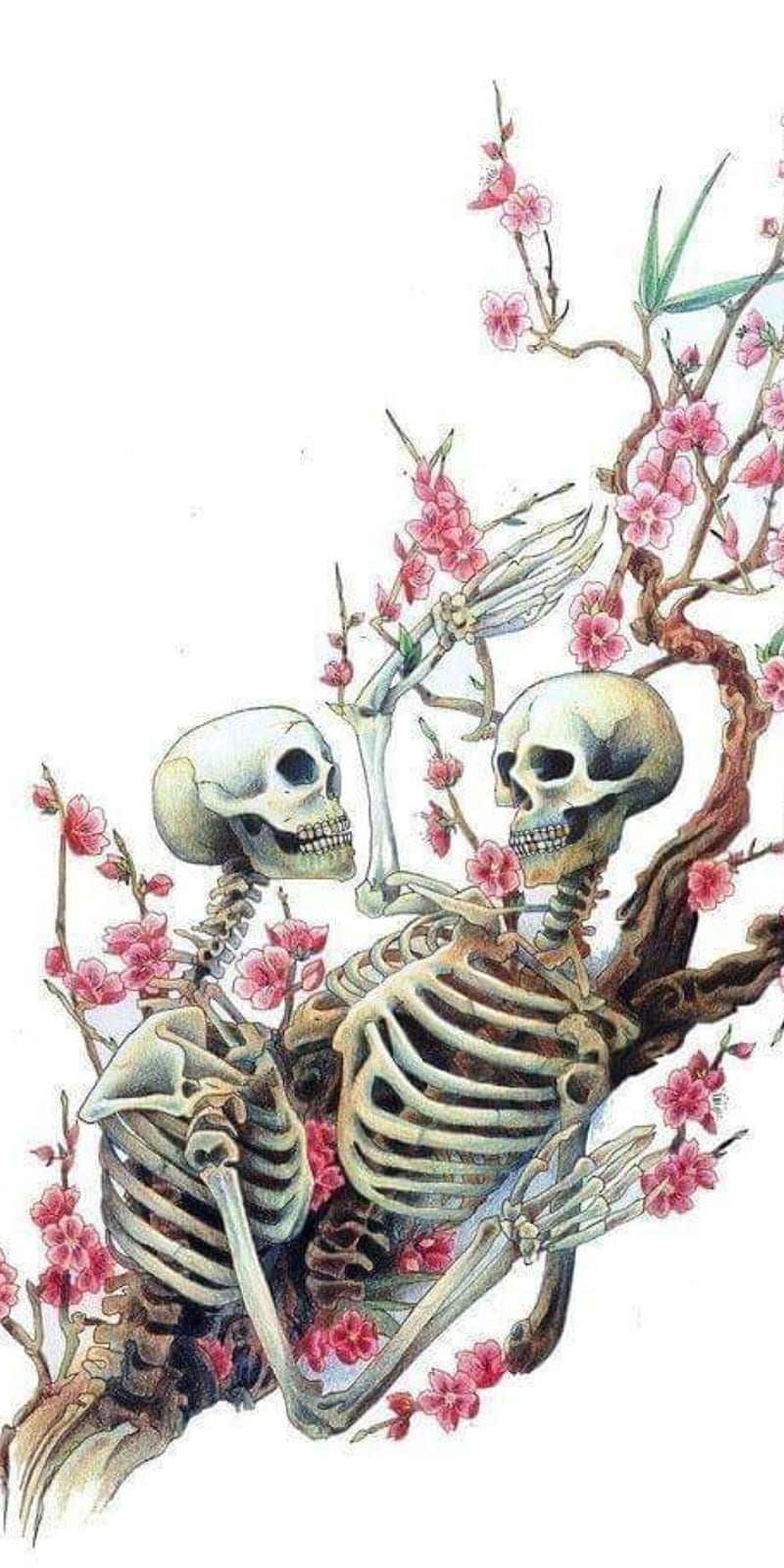 White, Skeleton Aesthetic Tumblr HD phone wallpaper | Pxfuel