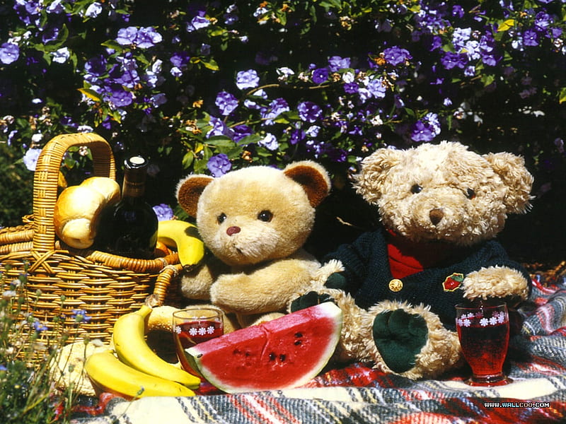 A different kind of Christmas Eve, sunny, small, sweet, teddy bears, hope, green, love, siempre, light, present, lovely, christmas, bananas, red ribbon, purple flowers, peace, joy, gift, pet, tiny, heart, watermelon, entertainment, fashion, faith, HD wallpaper