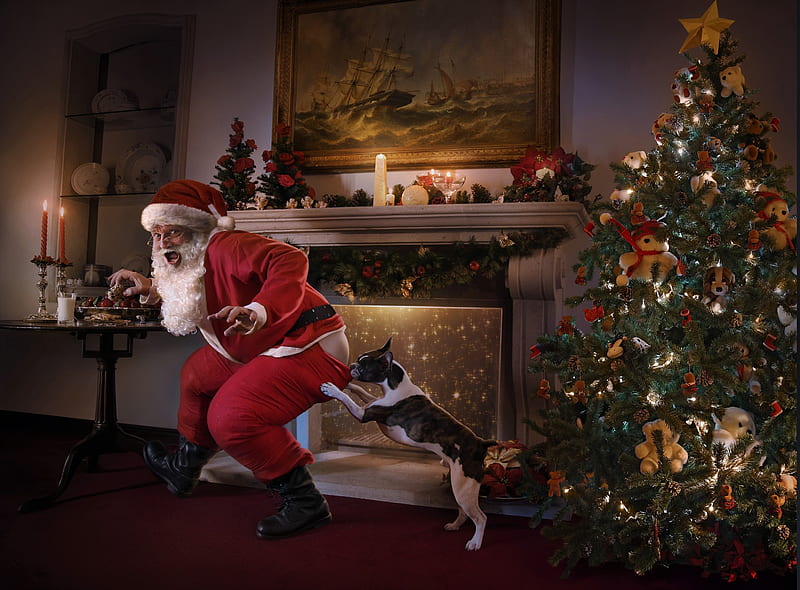 Santa was caught, red, craciun, christmas, caine, situation, animal, old man, tree, santa, funny, room, dog, HD wallpaper