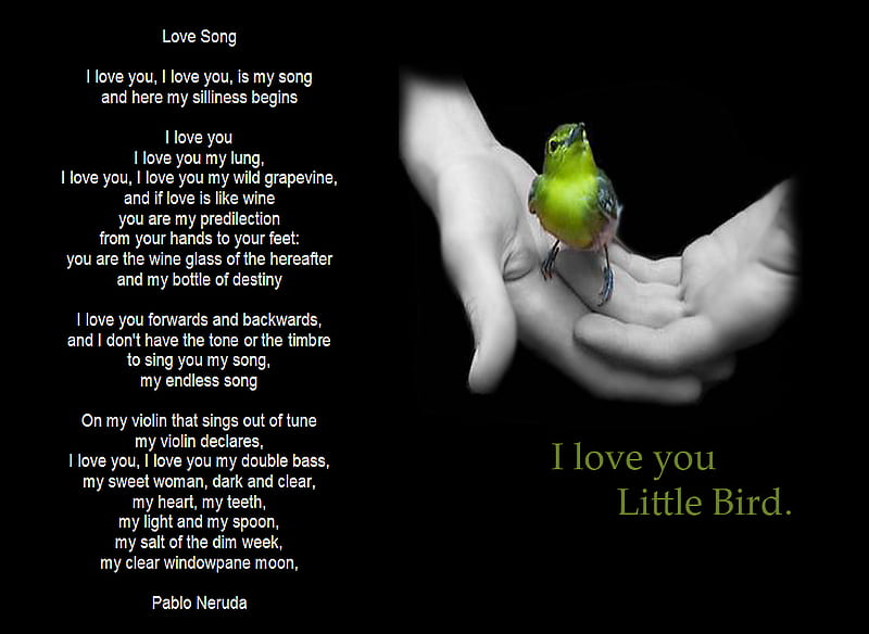 Little-Bird-LOVE-SONG, song, bird, love, hand, colors, animals, HD wallpaper