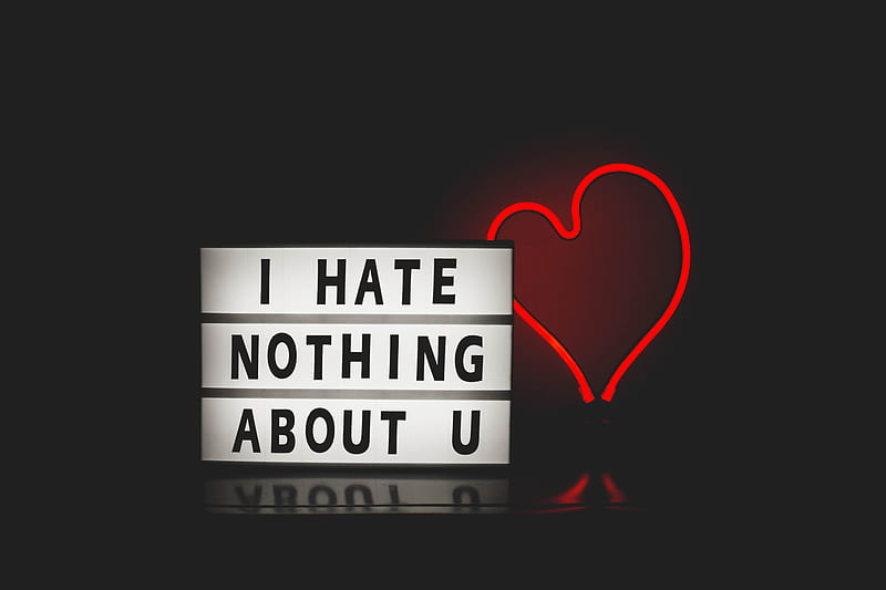 I Hate Nothing About You, typography, love, HD wallpaper