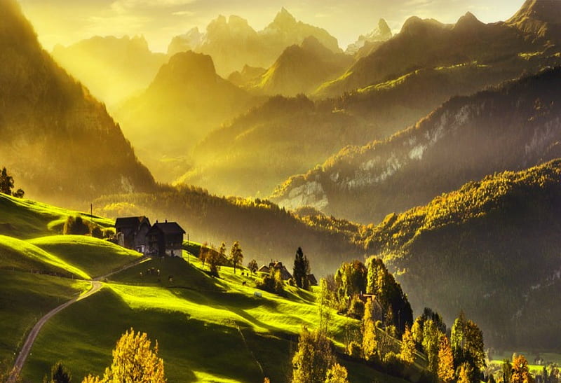 Morning Alps, forest, autumn, house, bonito, Switzerland, mountains, ravines, green grass, sunrise, morning fog, snowy peaks, HD wallpaper