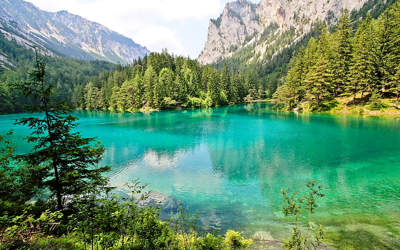 Green Lake forest, summer, mountains, Austria, Europe, HD wallpaper