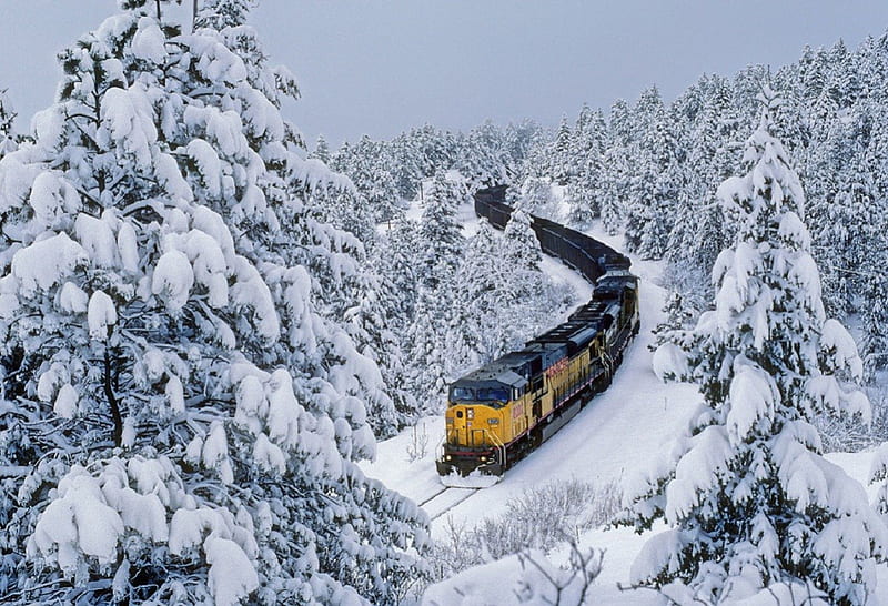 Winter Train, train, snow, mountains, nature, bonito, white, trees, winter, HD wallpaper
