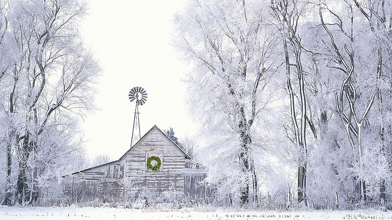 Christmas Barn, vintge, Christmas, windmill, ranch, black and white, trees, barn, winter, farm, snow, blue, HD wallpaper