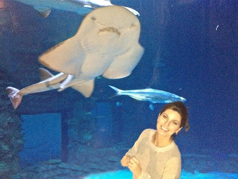 Shania Twain shark aquarium Mandalay Bay Las Vegas, cute, brunette, girl, teen, hot, singer, sexy, HD wallpaper