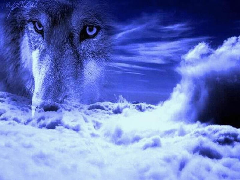 Wolf Spirit In The Sky, fantasy, wolf, clouds, abstract, sky, HD ...