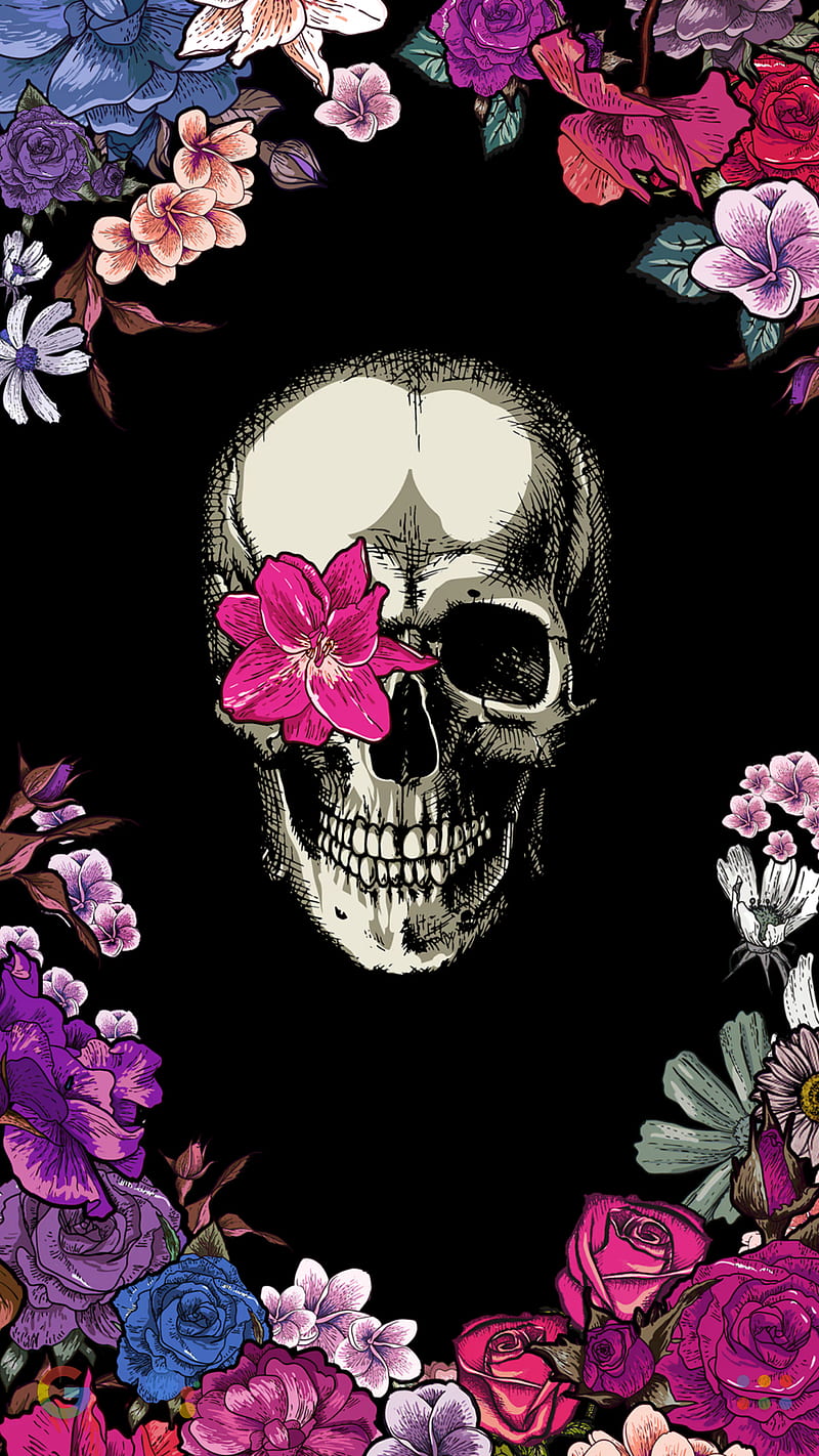 Skull flowers , cute, go, owl, owls, roses, skulls, sugar, super, valor, HD phone wallpaper