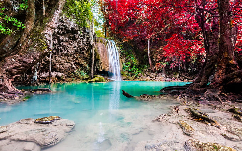 waterfall, rainforest, red trees, Thailand, blue lake, red leaves, HD wallpaper