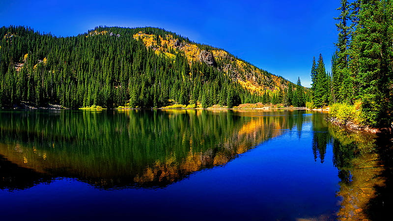 Forest lake, green trees, forest, beautiful nature, lake landscape