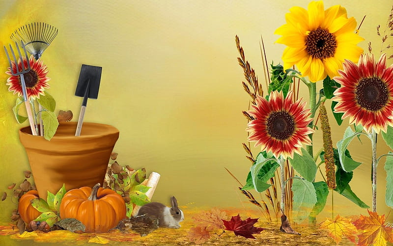 Fall Flowers With Pumpkins And Small Bunny , Fall, Flowers, Pot, Pumpkins, Dirt, HD wallpaper