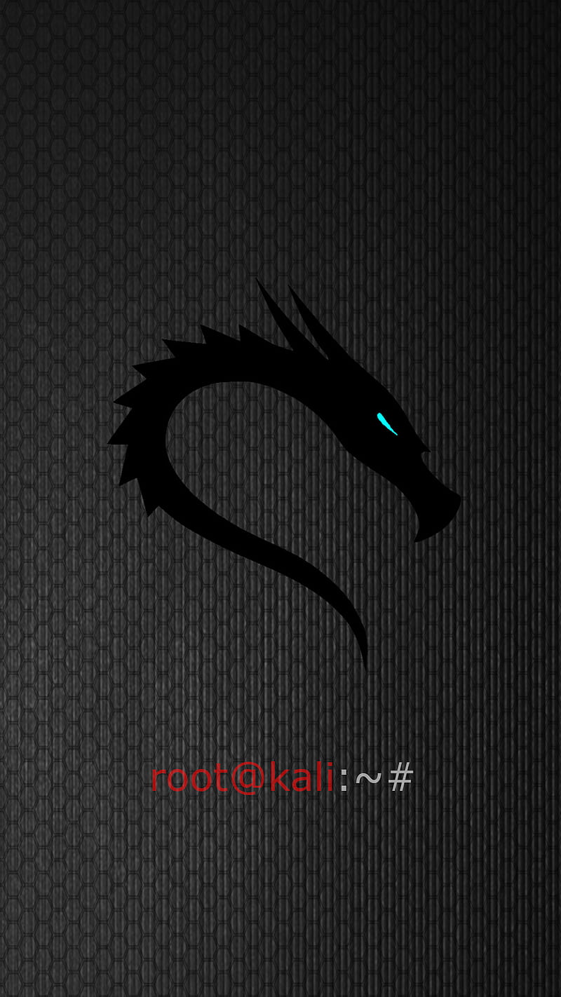 Kali Linux, dragon logo, HD phone wallpaper