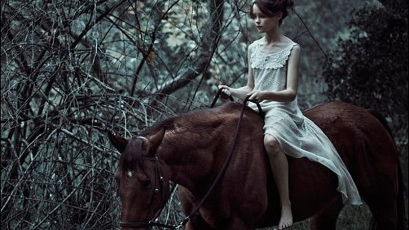 peaceful ride, horse, woman, girl, woods, HD wallpaper