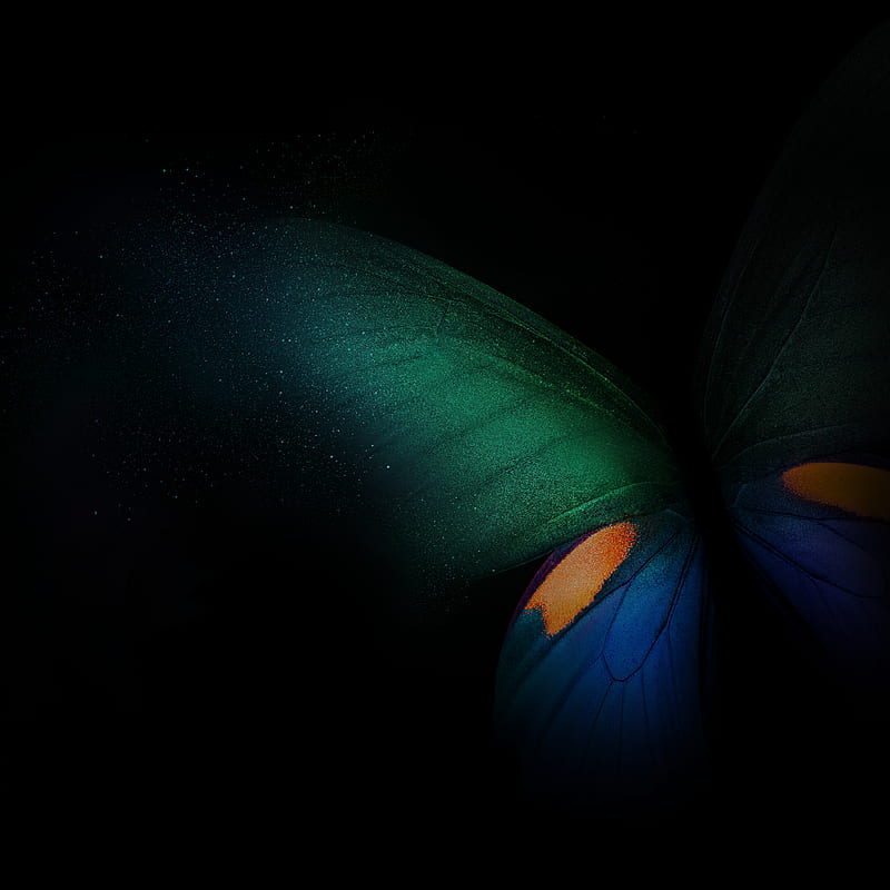 butterfly, digital art, shadow, samsung galaxy fold, HD phone wallpaper